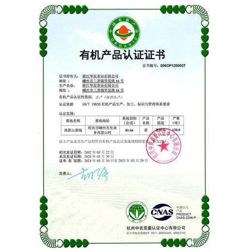 【2025年春茶】八马茶业 | 绿茶有机系列·明前龙井50克 商品图5