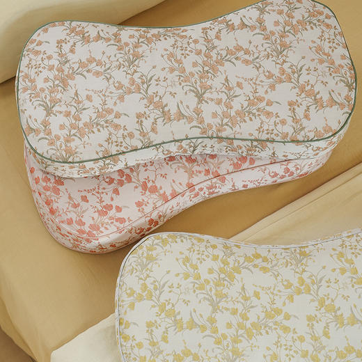 金枝玉叶系列曲线枕头护颈椎助睡眠专用荞麦皮成人睡觉家用单人 商品图4