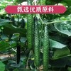 【吴茂兴】碧色小酱瓜 商品缩略图2