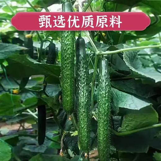 【吴茂兴】碧色小酱瓜 商品图2