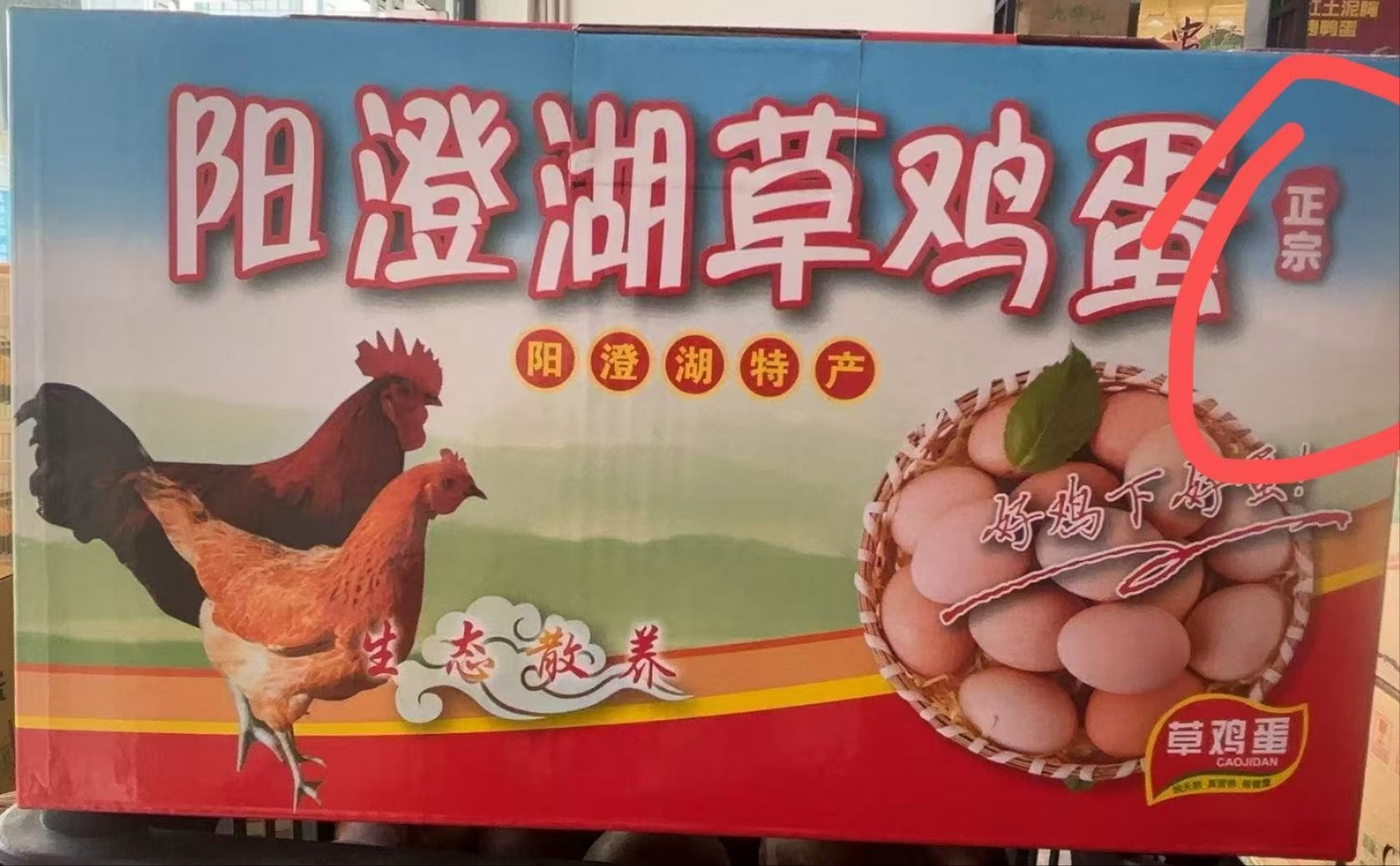 阳澄湖草鸡蛋23.5元1箱40枚，次日到货