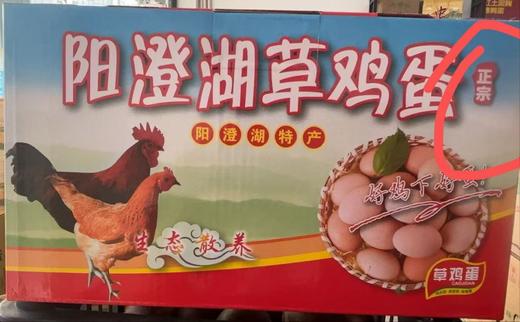 阳澄湖草鸡蛋23.5元1箱40枚，次日到货 商品图0