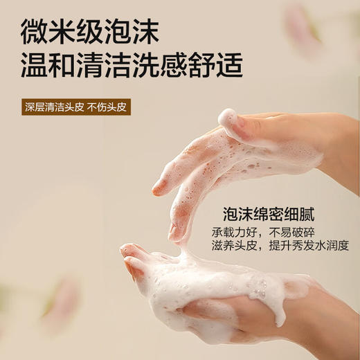 森之露 雪藻清爽去屑洗发露520ml   SZL-08 商品图3