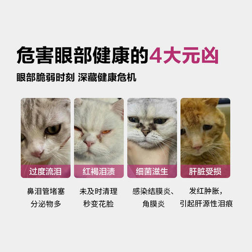 眼维乐-新版 商品图2