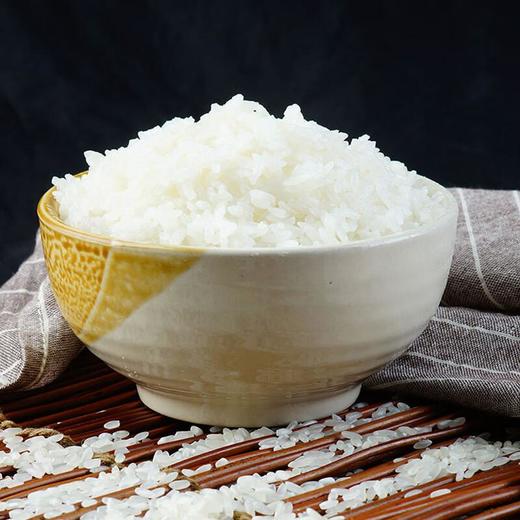 天仁道（绿色）五常大米 5kg/袋 商品图3