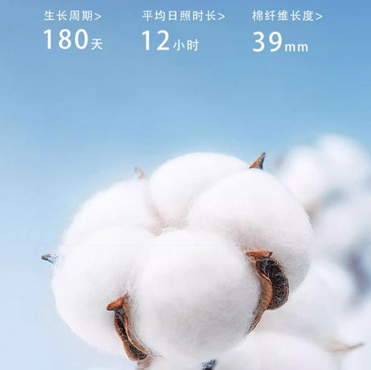 【纯棉】【DDA】大依优型大码短袖POLO衫男夏季加大码高端翻领半袖男士休闲时尚体恤 商品图4