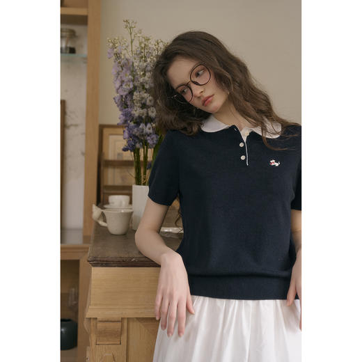 （小眠专属）SimpleRetro时光冰丝 学院风polo领针织衫短袖T恤女百搭套头上衣 商品图4