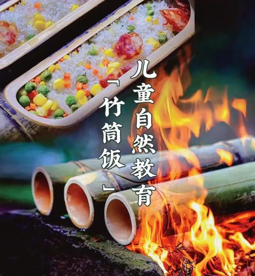 【智行研学】4月4日“笋”意盎然一日营 商品图8