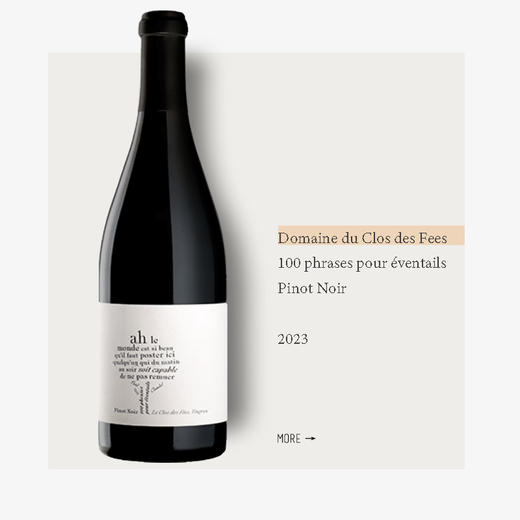 Domaine du Clos des Fees 100 phrases pour éventails Pinot Noir 2023仙子庄园100扇子黑皮诺干红2023 商品图0