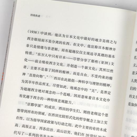 《持续焦虑：世界范围内的反现代化思潮》 商品图4