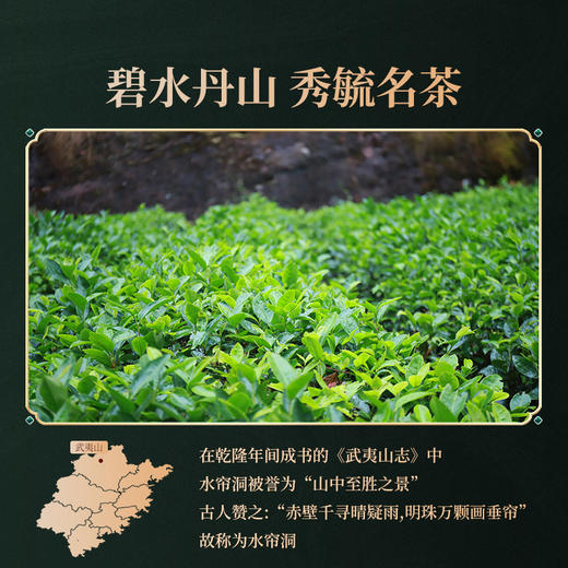 岩语 鉴山水帘洞肉桂 正岩茶叶礼盒装特级武夷山岩茶送礼51g 商品图3