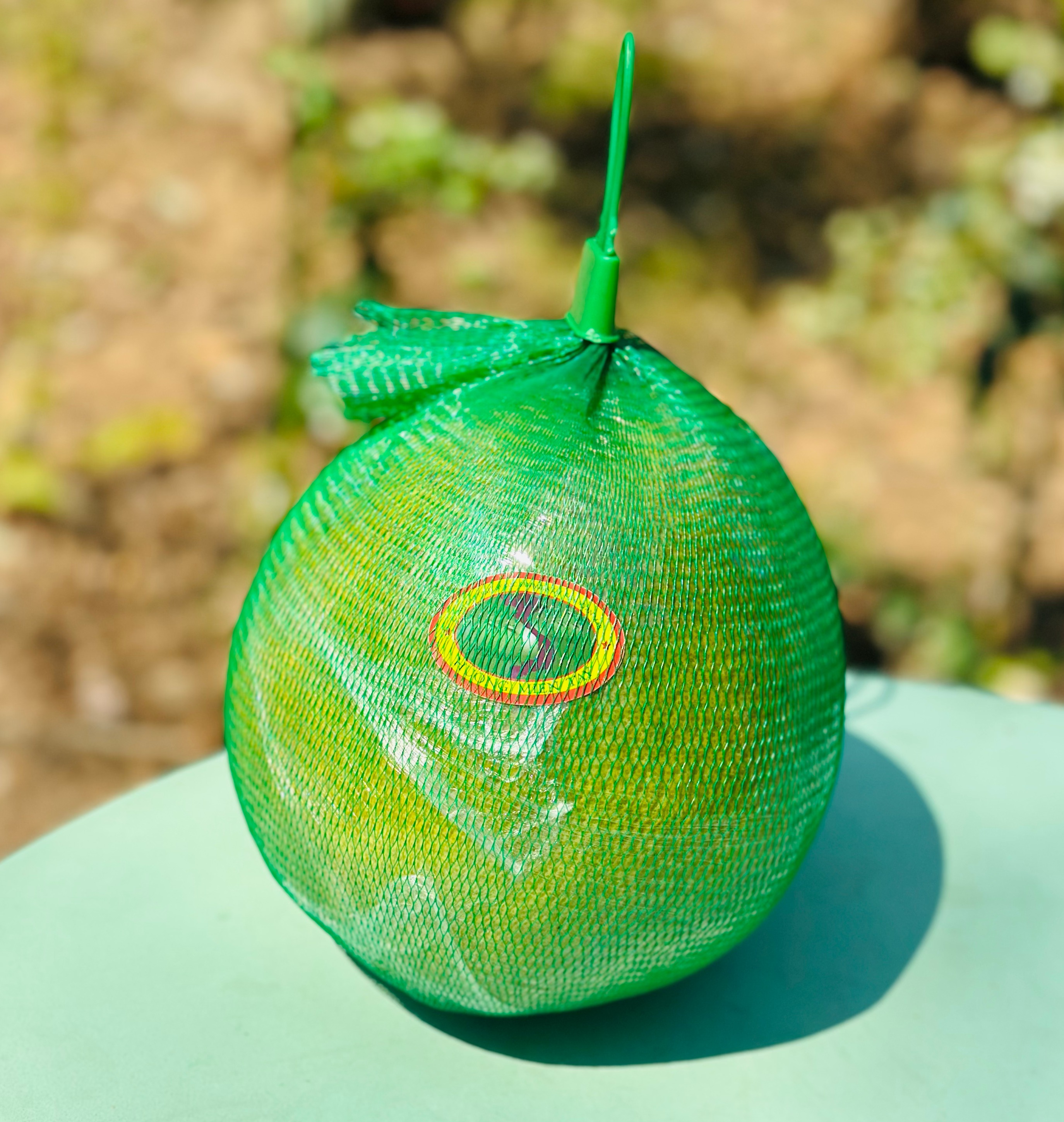 泰国翡翠柚|果型饱满圆润，肉质金黄，爆汁清甜，柚味十足~