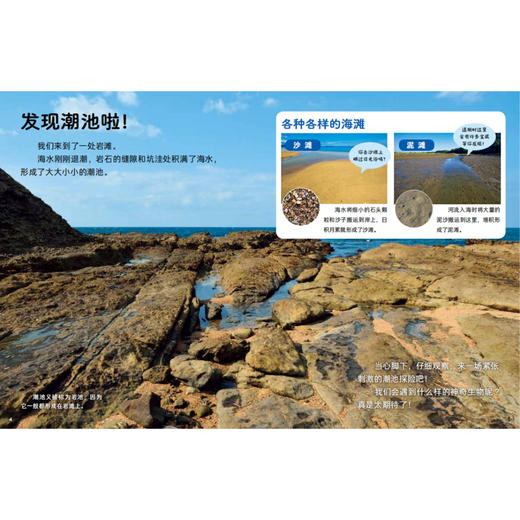 《好喜欢科学：好喜欢的大自然》（全11册） 商品图11