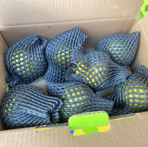 鎏金小蜜罐甜瓜 商品图7