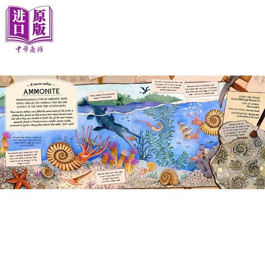 【中商原版】化石守护者的宝藏 Fossil Keepers Treasure 英文原版 儿童科普绘本 少儿百科知识图画书 进口童书 精装科学读物 商品图3