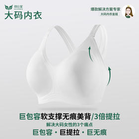 【尚比妮大码内衣女巨包容3倍提拉收副乳】软支撑无痕文胸 立体光面美背薄款轻盈聚拢内衣W2531款