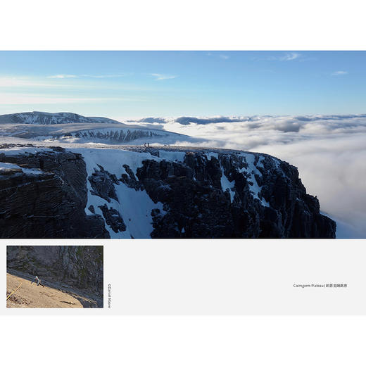 岩上时光  [英]安娜·弗莱明 著  宋明蔚 译（自然文库） 商务印书馆 商品图3