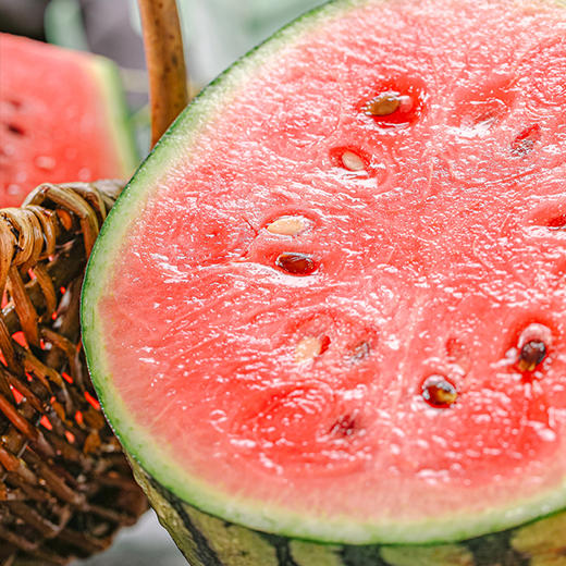 2026小糖丸 1枚 商品图1