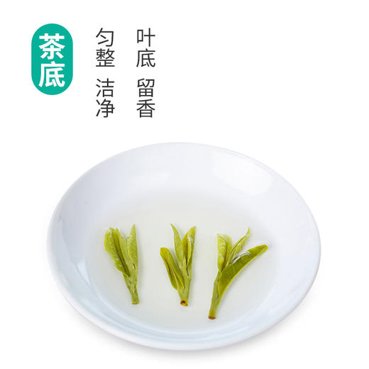 【西湖工夫】 2026年明前特级龙井茶 传统手工包250g 商品图3