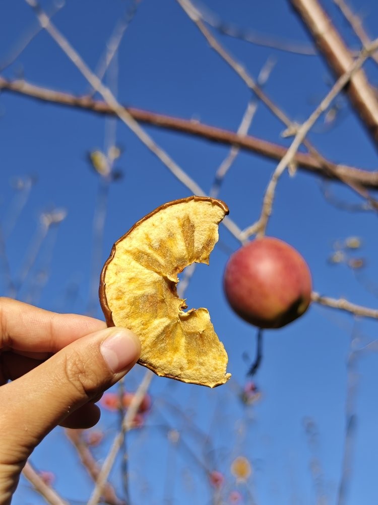 云南高原苹果片
