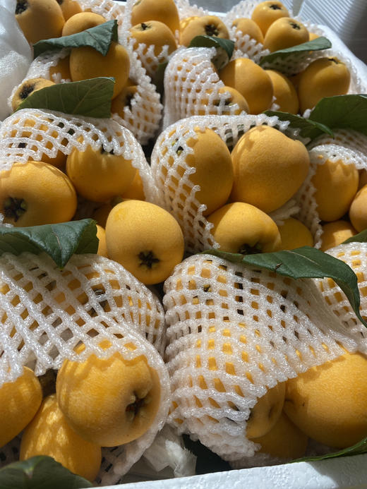 宏丰精选 云南蒙自枇杷，枇杷味浓郁，带点微酸，活动价19.8元一斤 商品图7