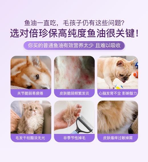 倍珍保黄金秘鲁鳀鱼天然鱼油 商品图4