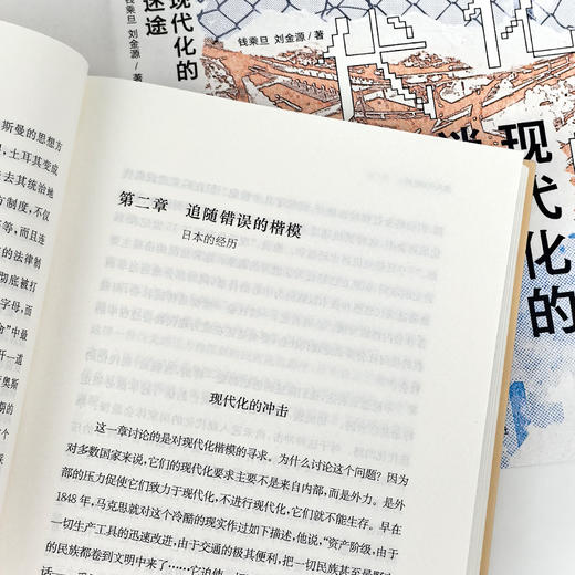 钱乘旦 / 刘金源《现代化的迷途》 商品图4