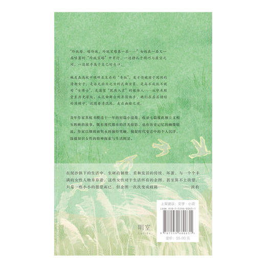 玲珑塔 | 苏枕书暌违 11 年短篇小说集，捕捉时代变迁中的个人沉浮，深描知识女性的精神探索与生活图景 商品图3