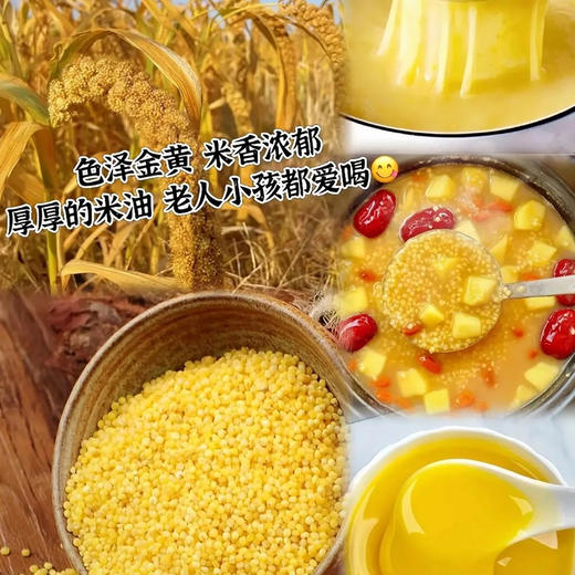 【2袋减5】【敖汉小米】来自“世界小米之乡” 8000年历史 颗粒饱满圆润 米油丰富 口感软糯 精选金苗K1原粮谷子 无添加 无染色 2.5kg装 新老包装随机发 商品图7