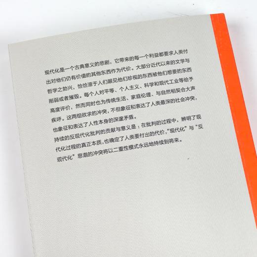 《持续焦虑：世界范围内的反现代化思潮》 商品图3