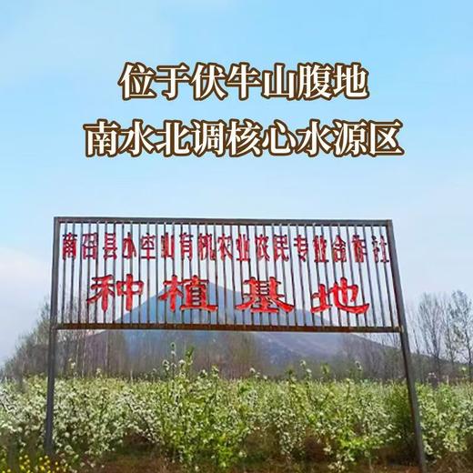 秋梨膏（有机黄金梨加工） 商品图4