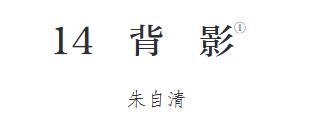 杨友红 商品图0