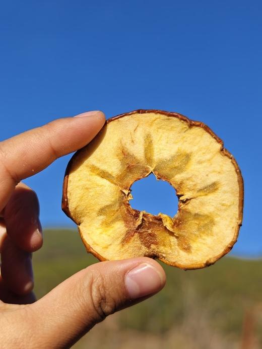 云南高原苹果片 商品图1