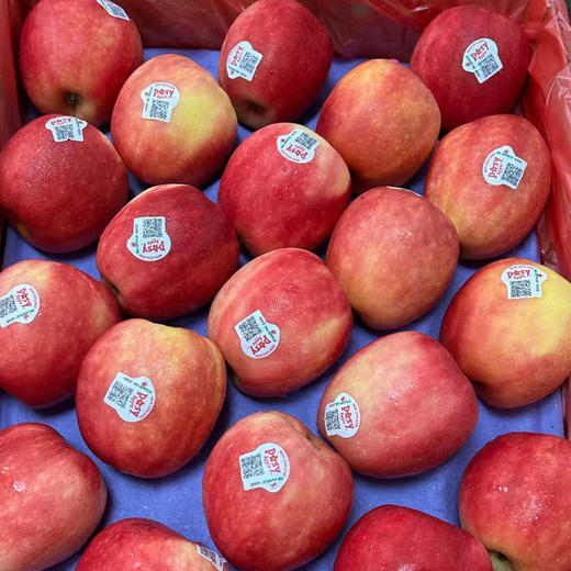 小花苹果 约500g/份（纯正的苹果味，十分香甜） 商品图0