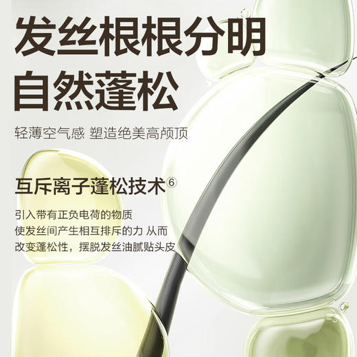 森之露 山茶籽控油轻柔洗发露520ml   SZL-14 商品图1