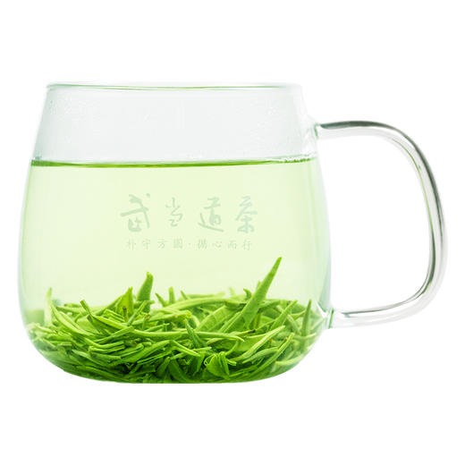 2025新茶 武当道茶绿茶袋装一级简装  250g 商品图2