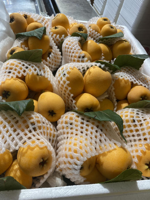 宏丰精选 云南蒙自枇杷，枇杷味浓郁，带点微酸，活动价19.8元一斤 商品图6