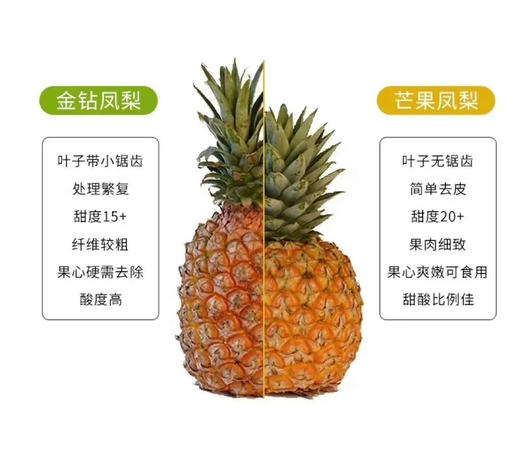 芒果凤梨 胖胖身体小小冠，更甜新品种！芒果和凤梨真的恋爱了。凤梨的脆甜口感，芒果的浓郁香气这个味道简直了，好吃！ 商品图4