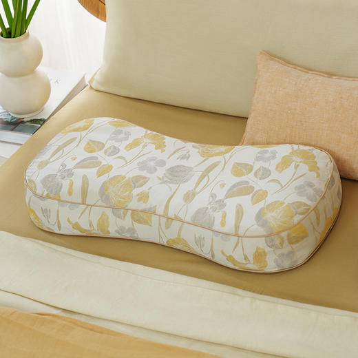 荷塘春色系列曲线枕头护颈椎助睡眠专用荞麦皮成人睡觉家用单人 商品图0