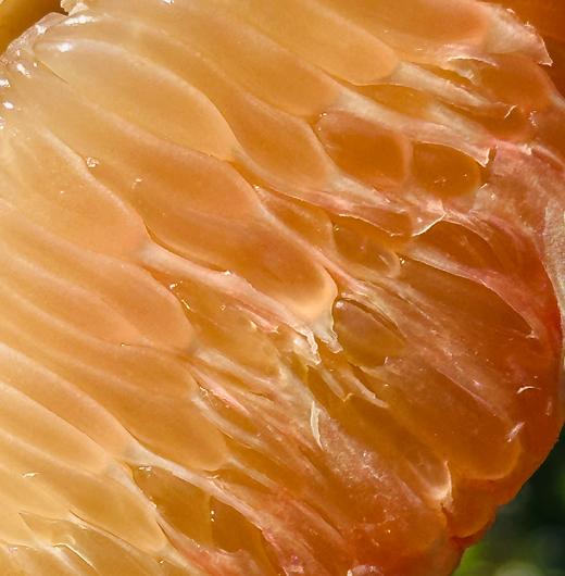 泰国翡翠柚|果型饱满圆润，肉质金黄，爆汁清甜，柚味十足~ 商品图1