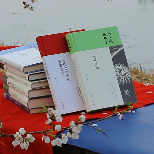 洪子诚学术作品集 洪子诚 著 北京大学出版社 商品图4