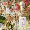 Guerlain/娇兰香水花草水语娇嫩玫瑰柑橘罗勒圆舞榴光淡香75ml  多颜色选择【香港直邮】 商品缩略图3