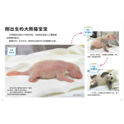 《好喜欢科学：好喜欢的大自然》（全11册） 商品图14