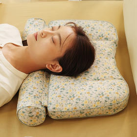 复古碎花系列分区枕头护颈椎助睡眠专用荞麦皮成人睡觉家用单人