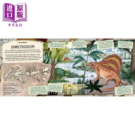 【中商原版】化石守护者的宝藏 Fossil Keepers Treasure 英文原版 儿童科普绘本 少儿百科知识图画书 进口童书 精装科学读物 商品图2