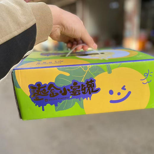 鎏金小蜜罐甜瓜 商品图6