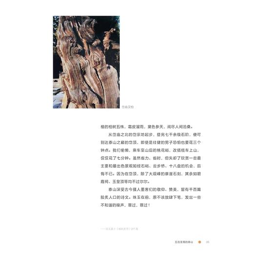 屐痕/慎斋著/浙江大学出版社 商品图4