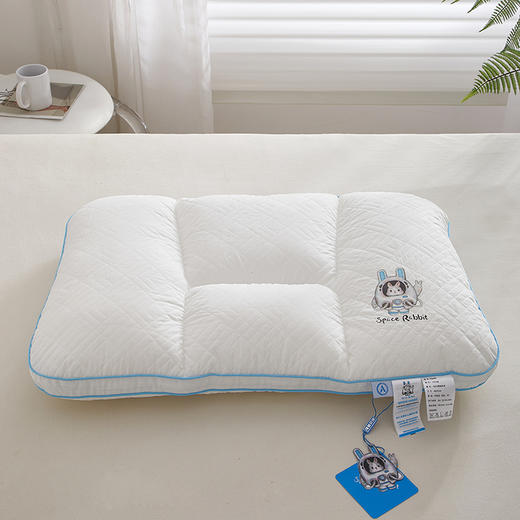 自然醒A类全棉太空兔安睡枕芯夏季护颈椎助睡眠枕头舒适家用单人整头一对XK 商品图6