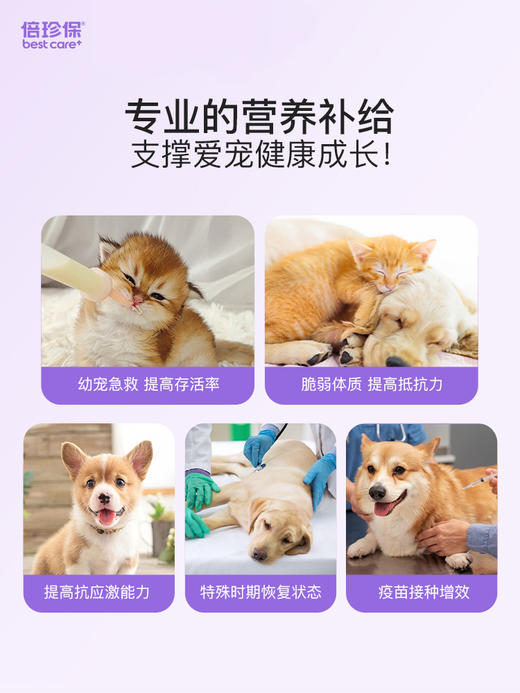 血浆蛋白初乳免疫膏 商品图1