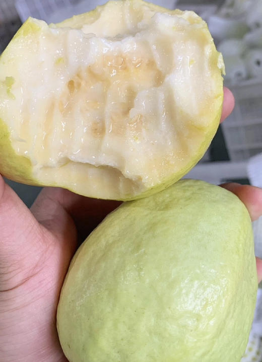 奶油芭乐大果（2个装） 商品图0